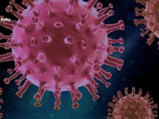 Monkeypox Virus: More Than 100 Cases of Monkeypox in Australia