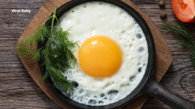 Are Broiler Eggs Good For Your Health Or Not?