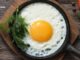 Are Broiler Eggs Good For Your Health Or Not?