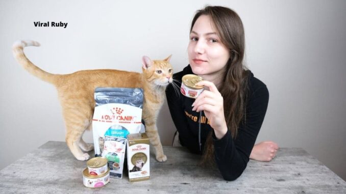 Royal Canin Siamese Cat Food Review