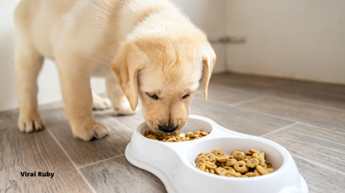 Tucker's Dog Food Siamese and Ingredients