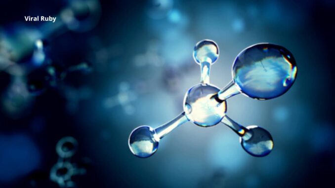 How Do Phospholipids Interact with Water Molecules?