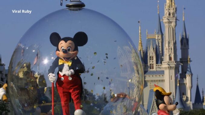 How Much Does Disney World Make a Day?