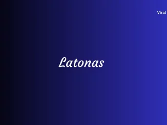 Latonas com What Does Latonas Do and How Does Latonas Work?
