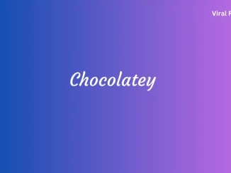 chocolatey org What is Chocolatey and How Does it Work with Gui Nodejs?