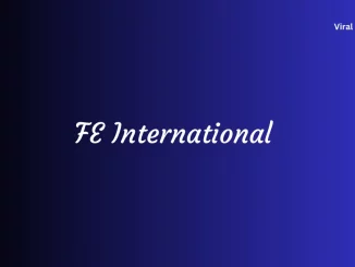 feinternational com What Does FE International Do and How Does FE International Work?