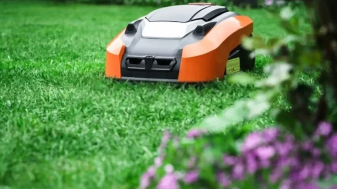How to Choose the Best Robot Lawn Mower for Your Yard?