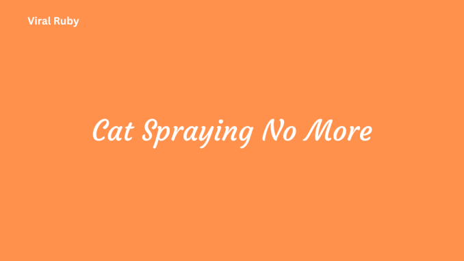 Cat Spraying No More Causes Natural Remedies and Common Mistakes