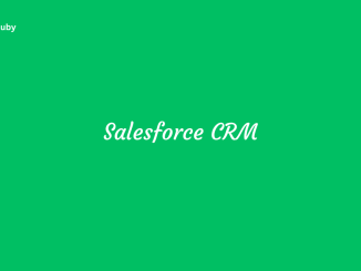 Salesforce CRM for Sales and Marketing with Features